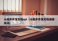 小程序开发文档api（小程序开发文档湖南岚鸿）