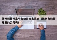 徐州软件开发平台公司哪家靠谱（徐州有软件开发的公司吗）