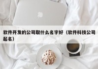 软件开发的公司取什么名字好（软件科技公司起名）