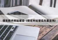 保定新手网站建设（保定网站建设方案咨询）