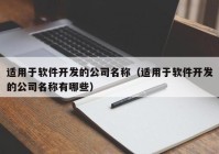 适用于软件开发的公司名称（适用于软件开发的公司名称有哪些）