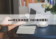 seo优化实训日志（SEO实训报告）