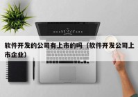 软件开发的公司有上市的吗（软件开发公司上市企业）