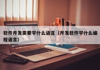 软件开发需要学什么语言（开发软件学什么编程语言）