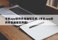 手机app软件开发编程实例（手机app软件开发编程实例图）