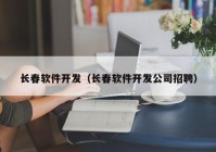 长春软件开发（长春软件开发公司招聘）