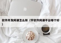 软件开发网课怎么样（学软件网课平台哪个好）