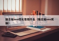 独立站seo优化包括什么（独立站seo实操）