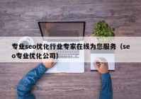 专业seo优化行业专家在线为您服务（seo专业优化公司）