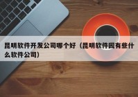 昆明软件开发公司哪个好（昆明软件园有些什么软件公司）