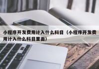 小程序开发费用计入什么科目（小程序开发费用计入什么科目里面）