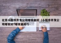 北京小程序开发公司哪家最好（小程序开发公司哪家好?哪家最好?）