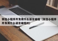 微信小程序开发用什么语言编程（微信小程序开发用什么语言编程的）