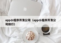 app小程序开发公司（app小程序开发公司排行）