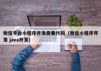 微信平台小程序开发需要代码（微信小程序开发 java开发）