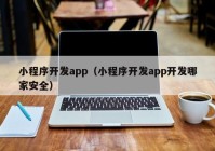 小程序开发app（小程序开发app开发哪家安全）