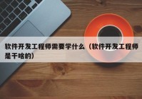 软件开发工程师需要学什么（软件开发工程师是干啥的）