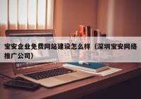 宝安企业免费网站建设怎么样（深圳宝安网络推广公司）