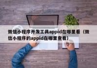 微信小程序开发工具appid在哪里看（微信小程序的appid在哪里查看）