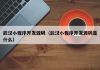 武汉小程序开发源码（武汉小程序开发源码是什么）