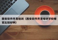 西安软件开发培训（西安软件开发培训学校哪家比较好啊）