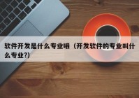 软件开发是什么专业哦（开发软件的专业叫什么专业?）