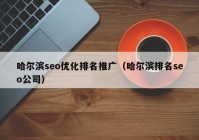 哈尔滨seo优化排名推广（哈尔滨排名seo公司）