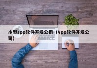 小型app软件开发公司（App软件开发公司）