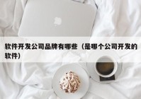 软件开发公司品牌有哪些（是哪个公司开发的软件）