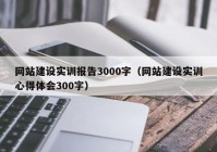 网站建设实训报告3000字（网站建设实训心得体会300字）