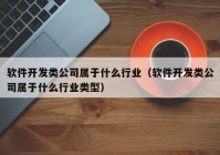 软件开发类公司属于什么行业（软件开发类公司属于什么行业类型）