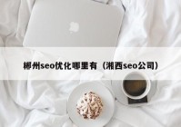 郴州seo优化哪里有（湘西seo公司）