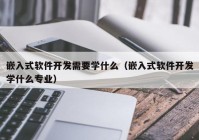 嵌入式软件开发需要学什么（嵌入式软件开发学什么专业）