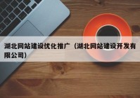 湖北网站建设优化推广（湖北网站建设开发有限公司）