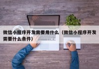 微信小程序开发需要用什么（微信小程序开发需要什么条件）