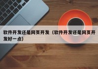 软件开发还是网页开发（软件开发还是网页开发好一点）