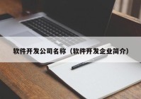 软件开发公司名称（软件开发企业简介）