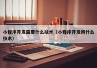 小程序开发需要什么技术（小程序开发用什么技术）