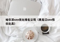 哈尔滨seo优化排名公司（黑龙江seo性价比高）