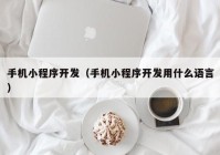 手机小程序开发（手机小程序开发用什么语言）