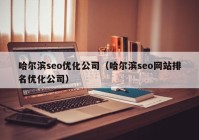 哈尔滨seo优化公司（哈尔滨seo网站排名优化公司）