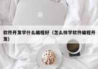 软件开发学什么编程好（怎么样学软件编程开发）