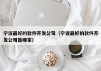 宁波最好的软件开发公司（宁波最好的软件开发公司是哪家）