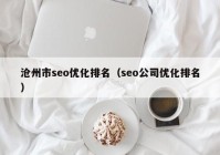 沧州市seo优化排名（seo公司优化排名）