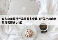 山东应用软件开发需要多少钱（开发一款应用软件需要多少钱）