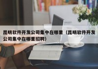 昆明软件开发公司集中在哪里（昆明软件开发公司集中在哪里招聘）