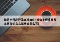 微信小程序开发文档api（微信小程序开发文档在论文文献格式怎么写）