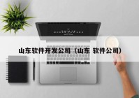 山东软件开发公司（山东 软件公司）