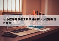 qq小程序开发者工具项目名称（小程序用什么开发）