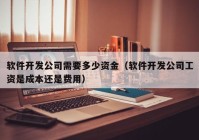 软件开发公司需要多少资金（软件开发公司工资是成本还是费用）